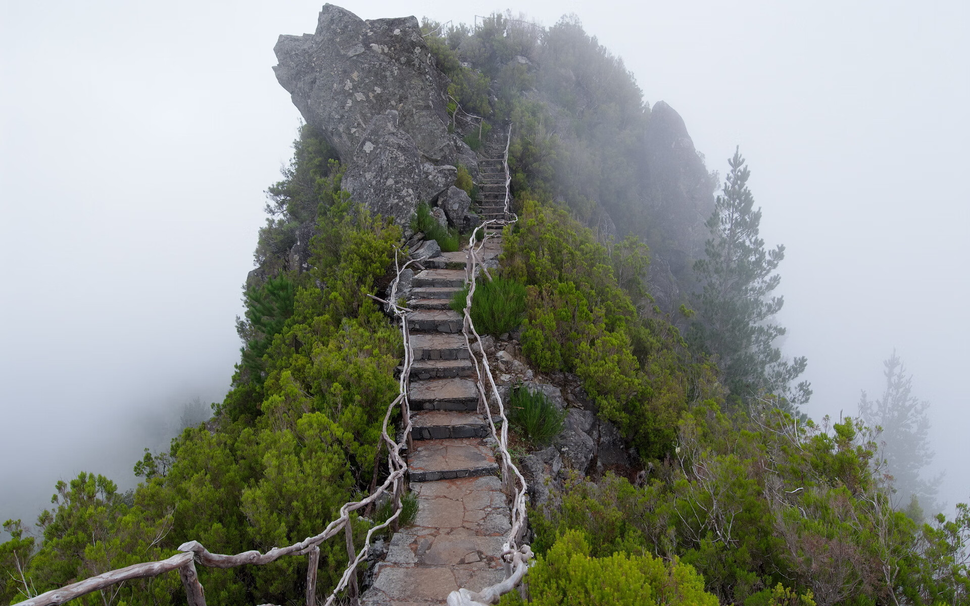 世界短道速滑教练能力认证第64期报名通道开启
